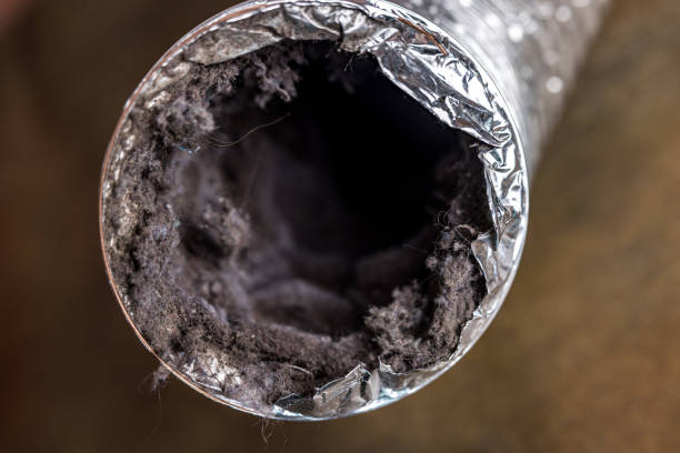 Best Commercial Air Duct Cleaning  in Irving, TX